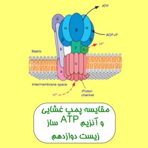 فیلم آموزشی پمپ غشایی و آنزیم ATP ساز