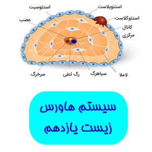 فیلم آموزشی ساختار سیستم هاورس